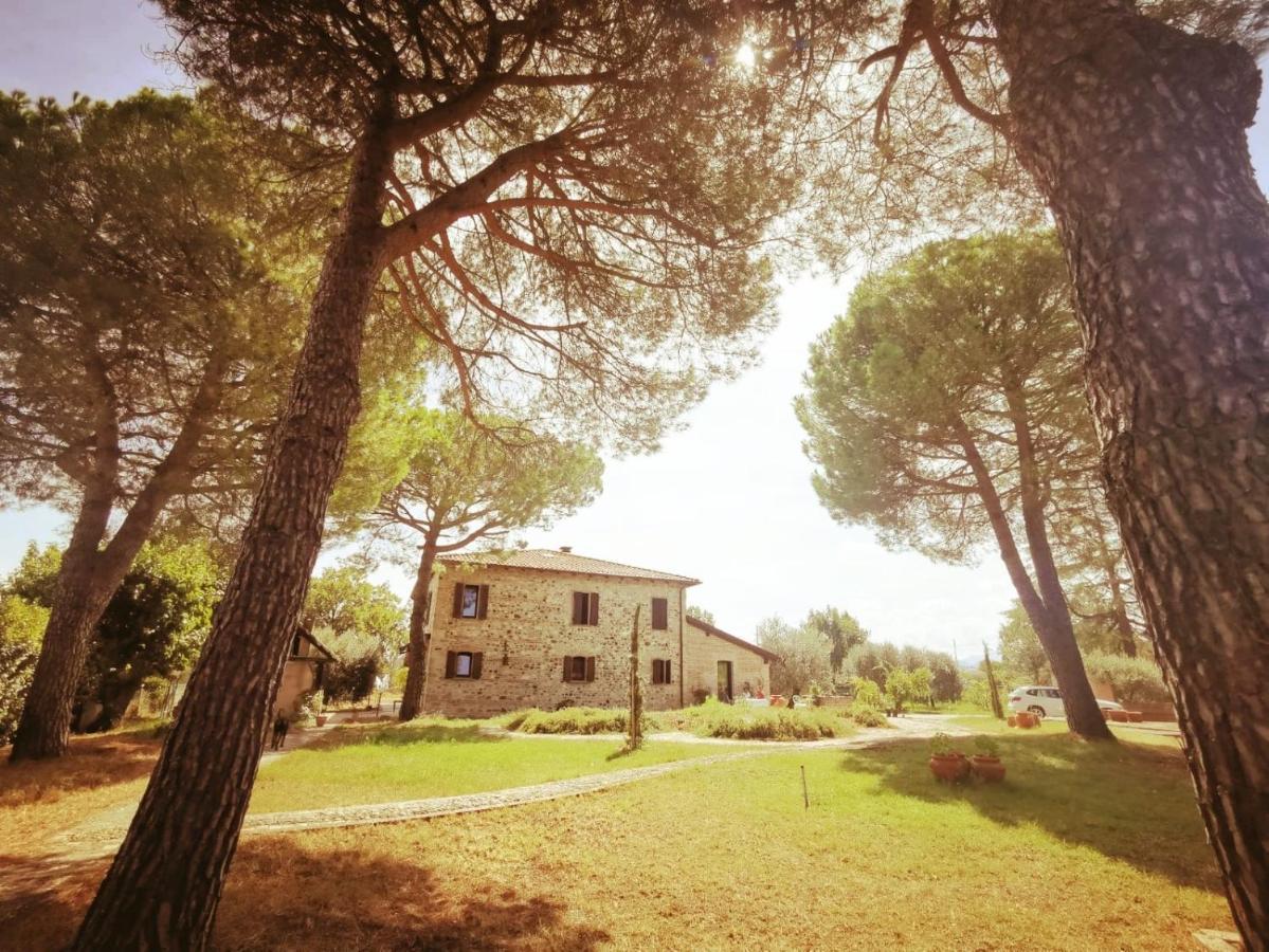 مبيت وإفطار Villa Verucchio La Bertinora المظهر الخارجي الصورة